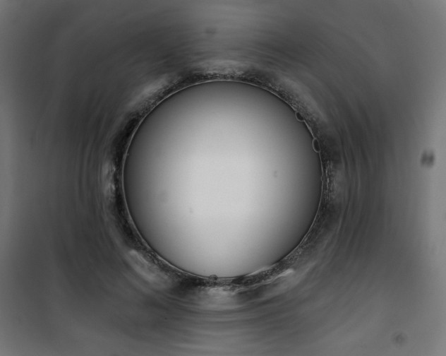 X0000101470692200807141351