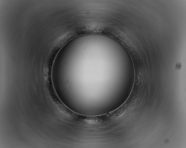 X0000101470693200807141351