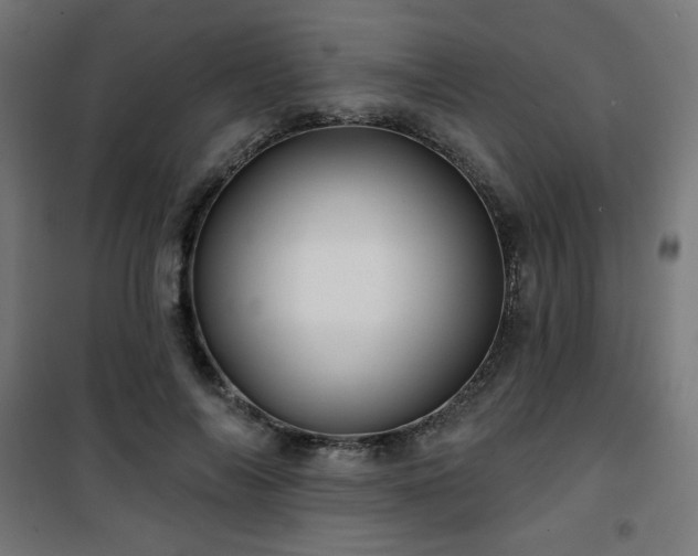 X0000101470694200807141351