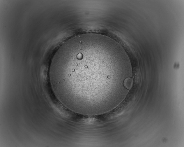 X0000101470695200807141351