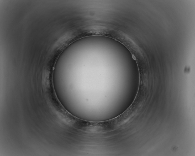 X0000101470696200807141351