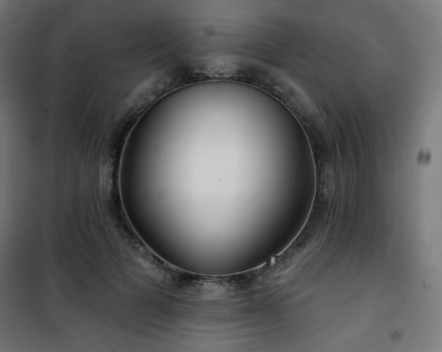 X0000101470697200807141351