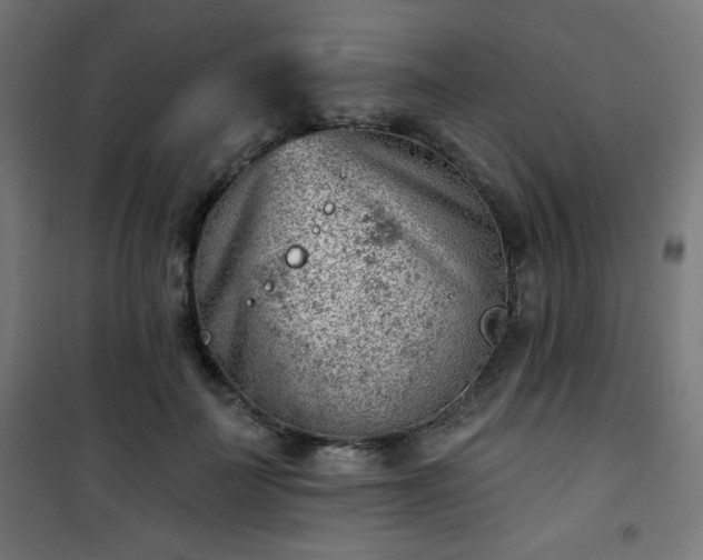 X0000101470699200807141351