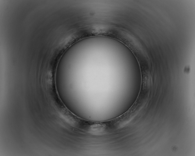 X0000101470700200807141351