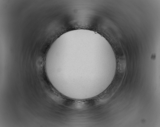 X0000101470701200807141351