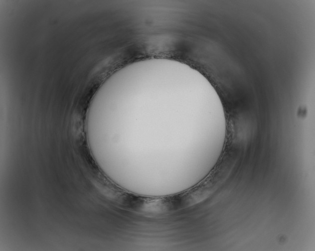 X0000101470705200807141351