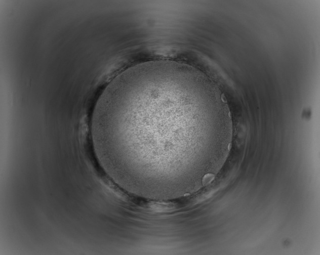 X0000101470707200807141351