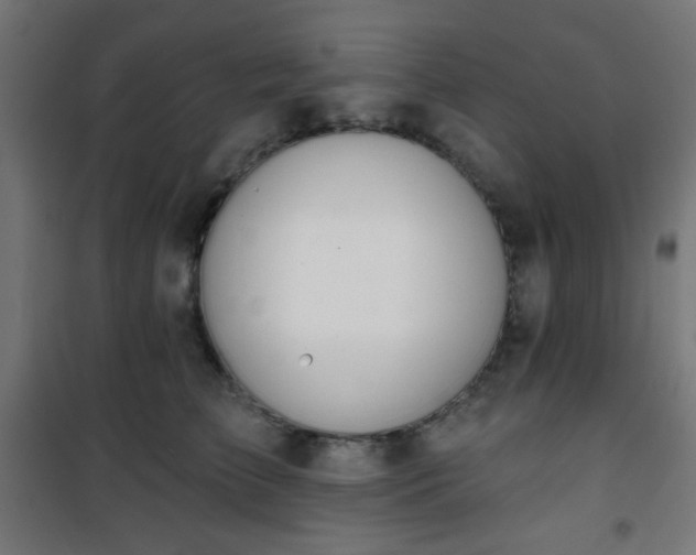 X0000101470709200807141351