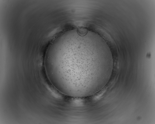 X0000101470710200807141351