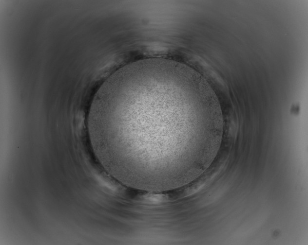 X0000101470711200807141351