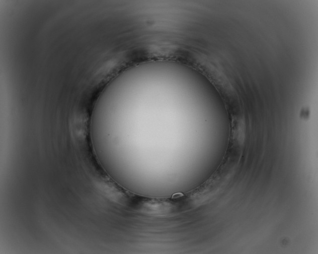 X0000101470712200807141351