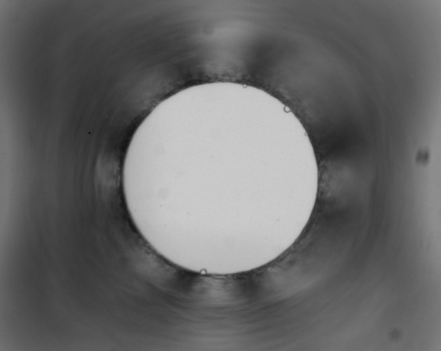 X0000101470713200807141351