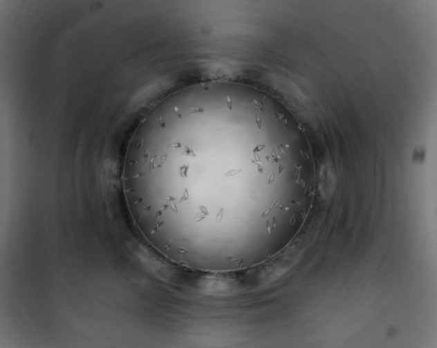 X0000101470714200807141351