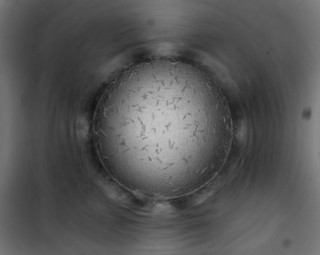 X0000101470715200807141351