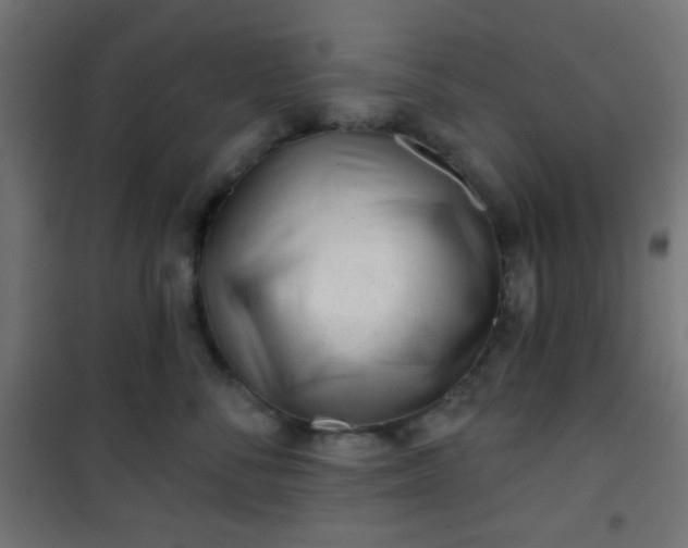 X0000101470716200807141351