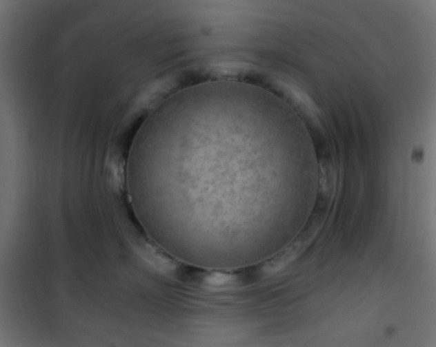 X0000101470718200807141351