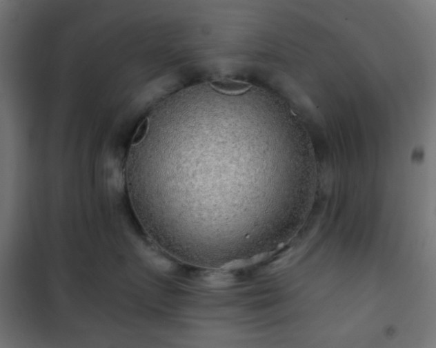 X0000101470719200807141351