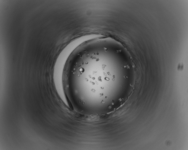 X0000101470720200807141351