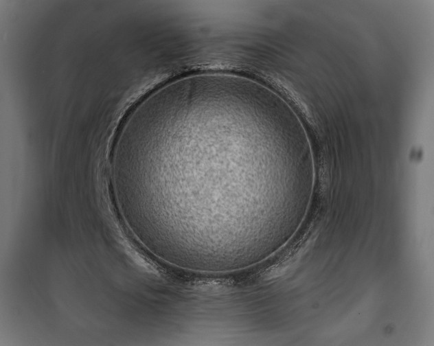 X0000101470721200807141350