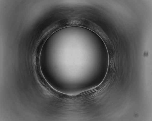 X0000101470722200807141350