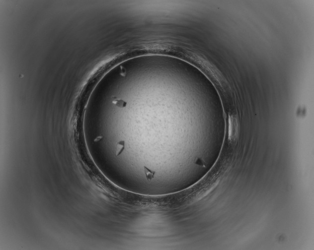 X0000101470723200807141350