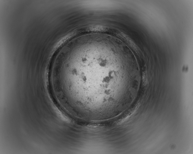 X0000101470725200807141350