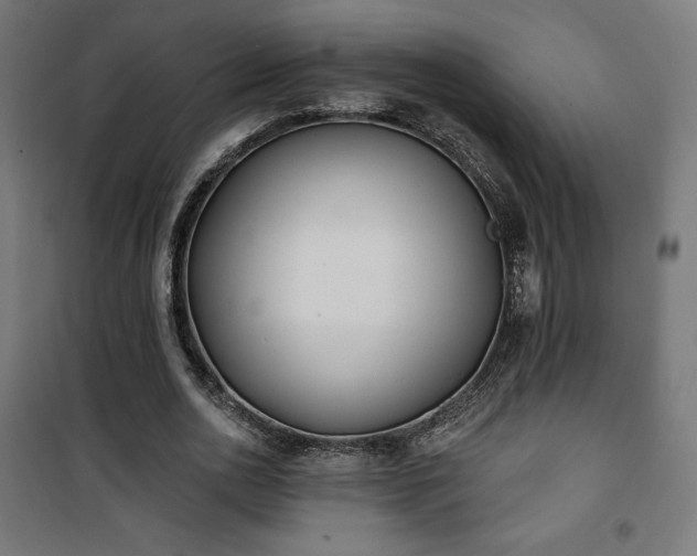 X0000101470726200807141350