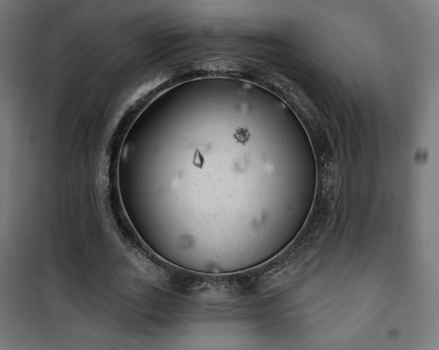 X0000101470727200807141350