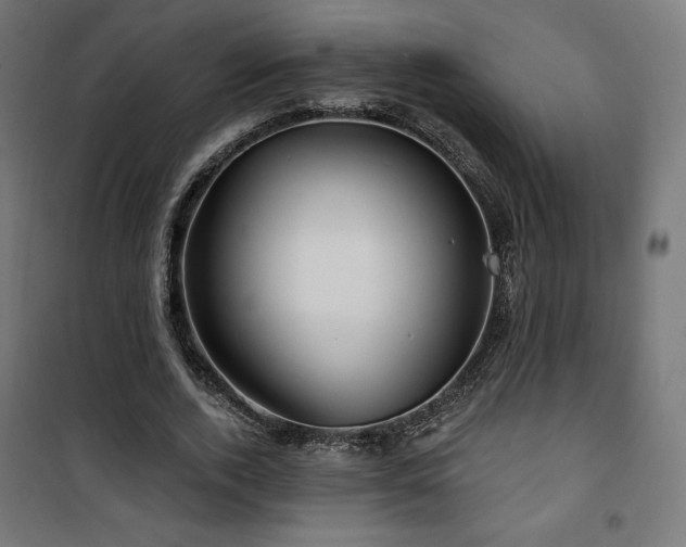 X0000101470728200807141350