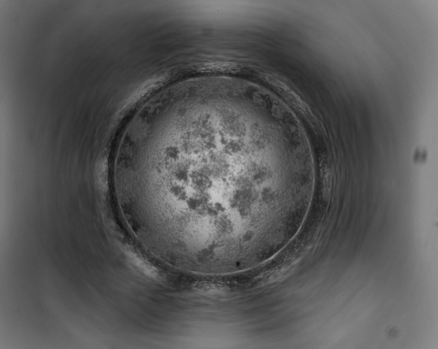 X0000101470729200807141350