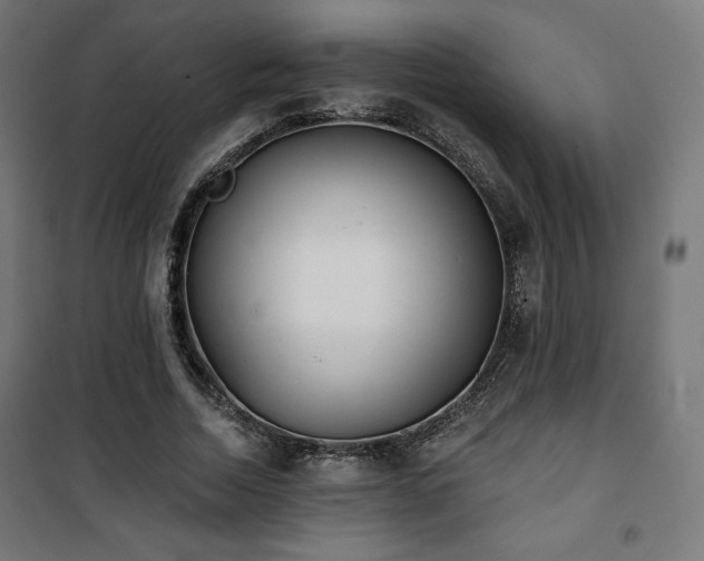 X0000101470730200807141350