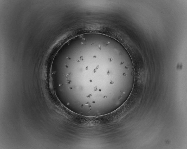 X0000101470731200807141350
