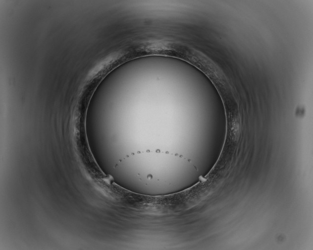 X0000101470732200807141350