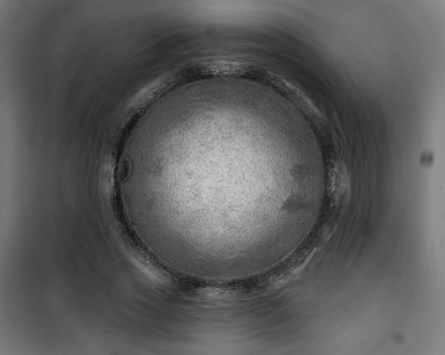 X0000101470733200807141350