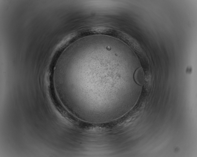 X0000101470734200807141350