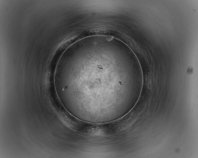 X0000101470735200807141350