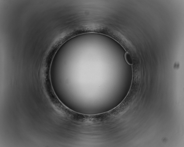 X0000101470736200807141350