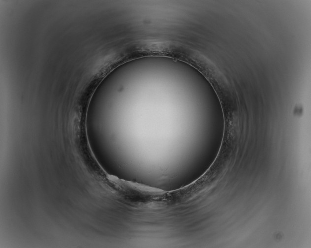 X0000101470739200807141350