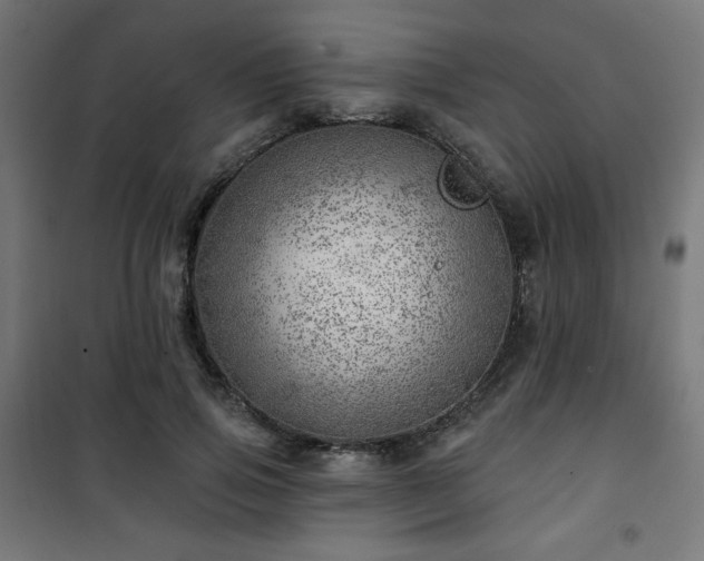 X0000101470741200807141350