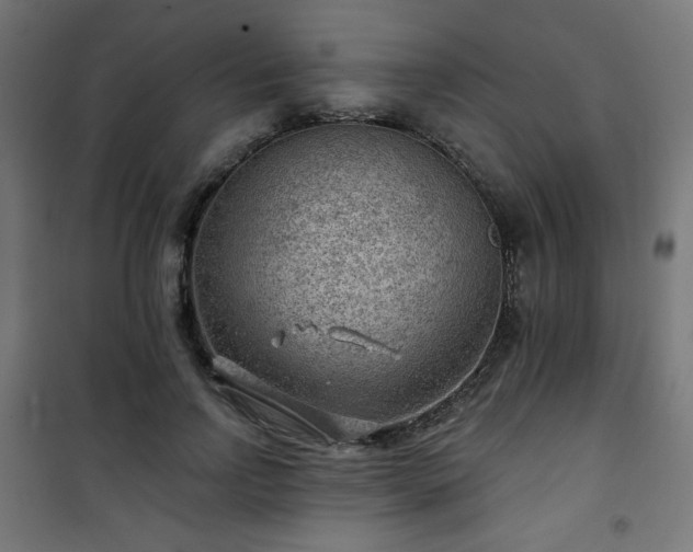 X0000101470742200807141350