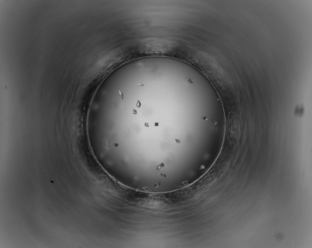 X0000101470743200807141350