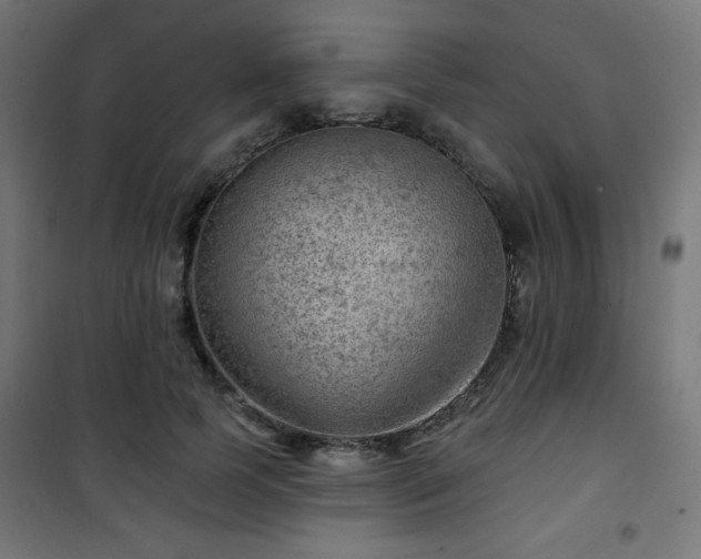 X0000101470745200807141350