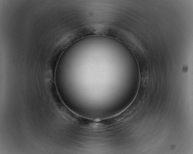 X0000101470748200807141350