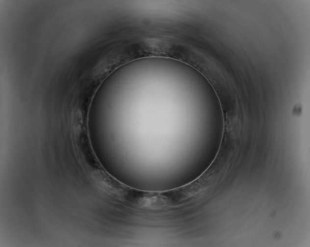 X0000101470752200807141350