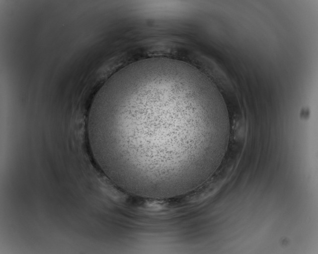 X0000101470753200807141350