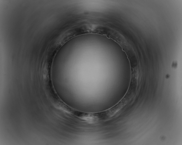 X0000101470754200807141350