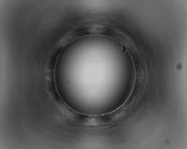 X0000101470755200807141350