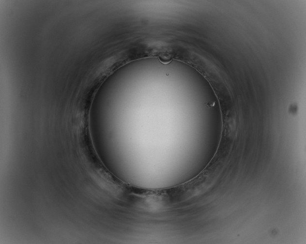 X0000101470756200807141350