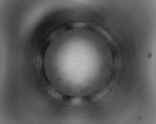 X0000101470761200807141350