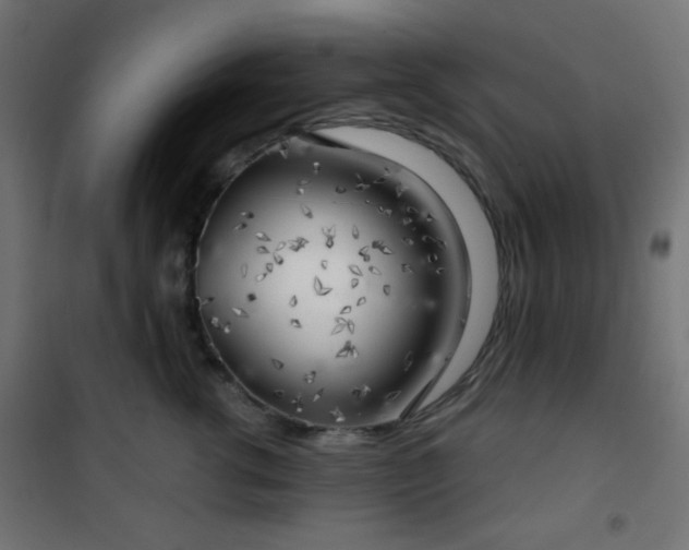 X0000101470762200807141350